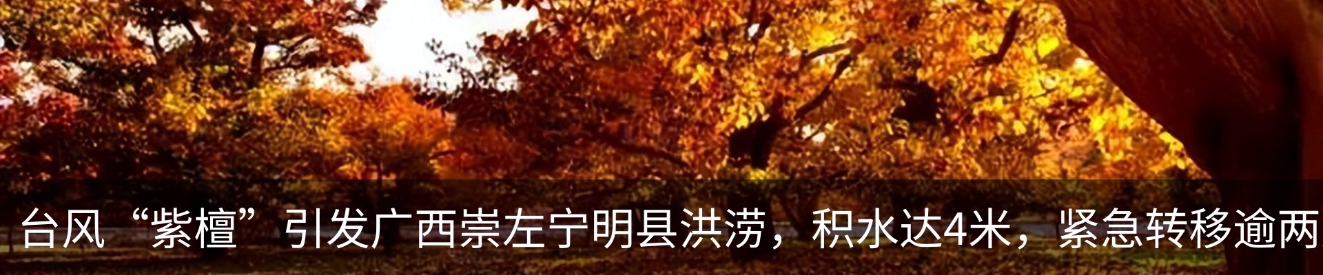 新闻中心